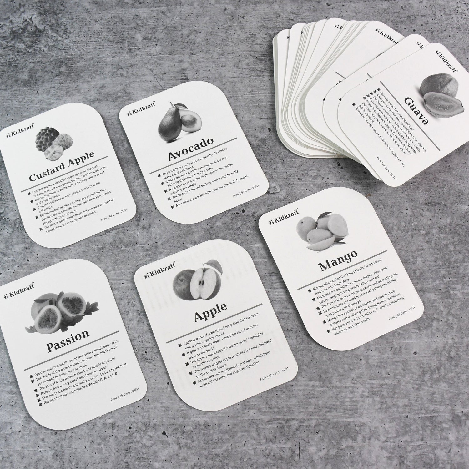 Kidkraft Early Learner Educational Flashcards  32 Birds Kidkraft Early Learner Educational Flashcards  32 Birds